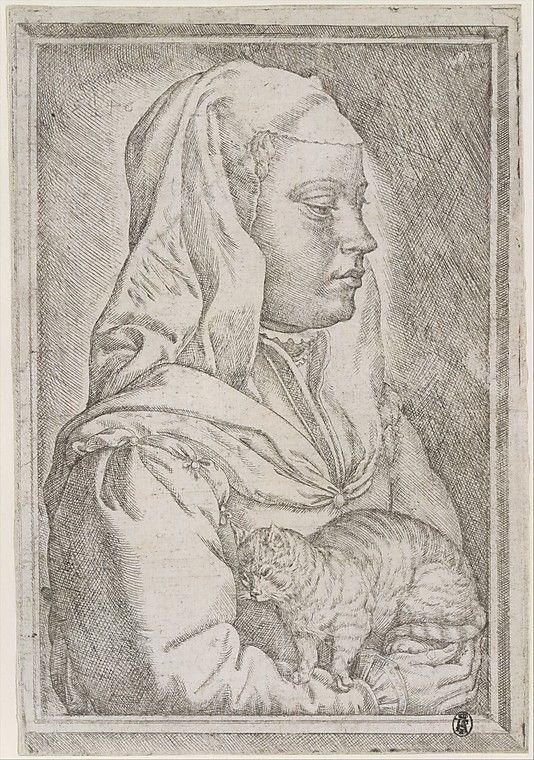 Girl with a Cat, 1545, Jan Cornelisz Vermeyen